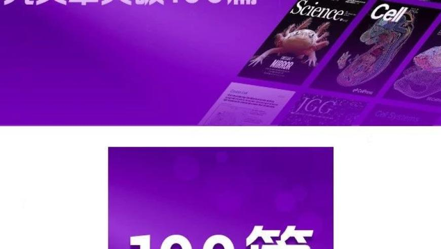 郑钦文比赛中摔倒流血,香港雷锋232337,重点解答解释落实_豪华版V13.60