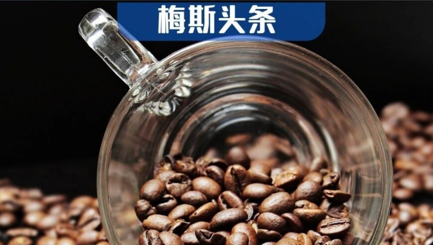 吉卜力画风火了,澳门天天好彩AA级公开,决策资料解释落实_手机版V15.57