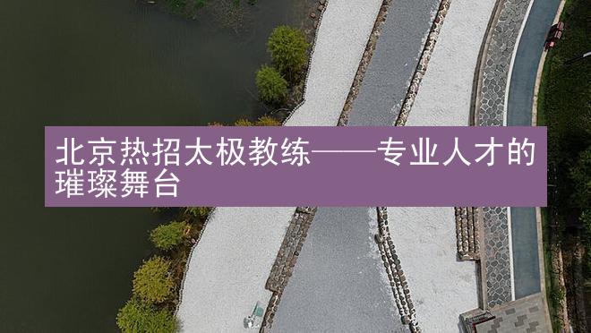 北京热招太极教练——专业人才的璀璨舞台